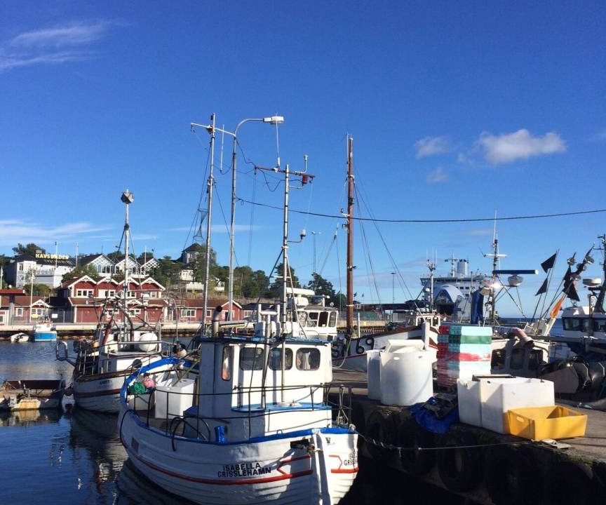 Photo of Others in Grisslehamn