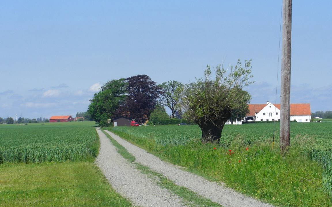 Photo of Others in Malarhusens