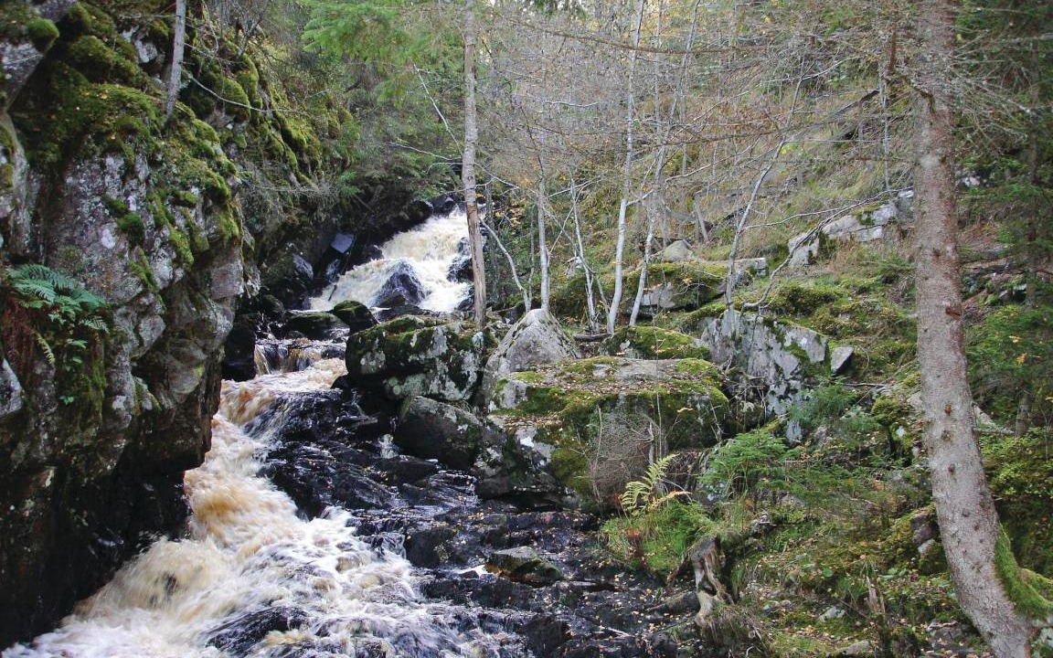 Photo of Others in Lidstorp