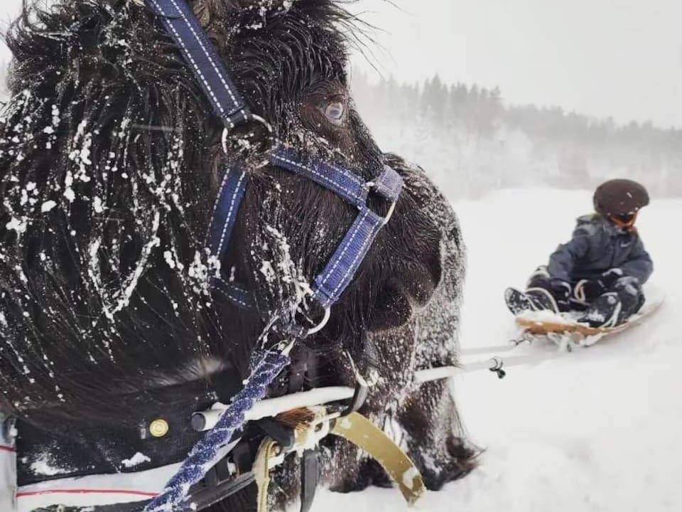 Photo of Human In Picture in Horndal