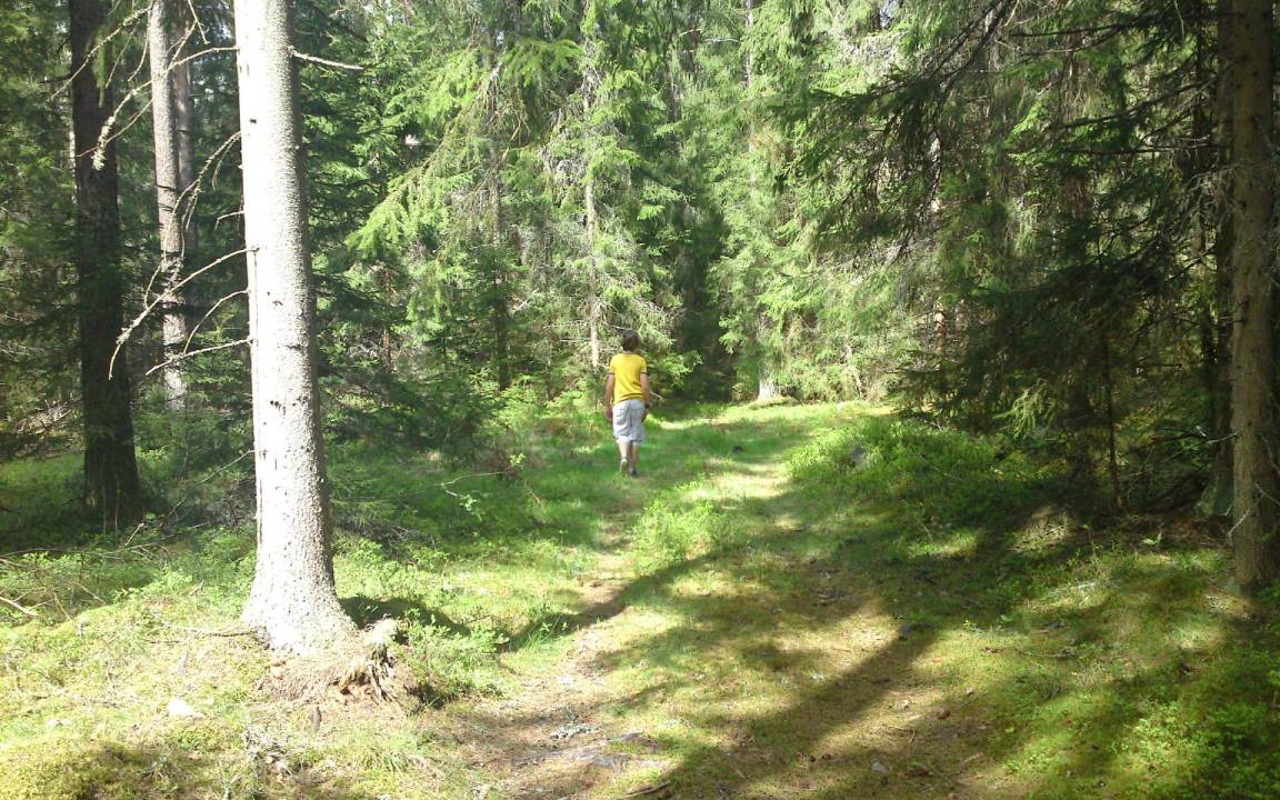 Photo of Others in Hultsfred
