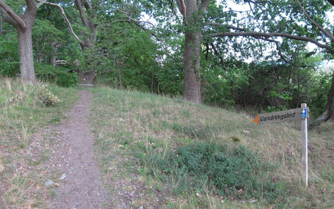 Photo of Outdoor in Vikbolandet