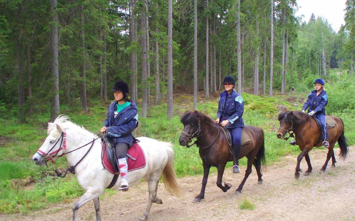 Photo of Others in Ulricehamn Municipality