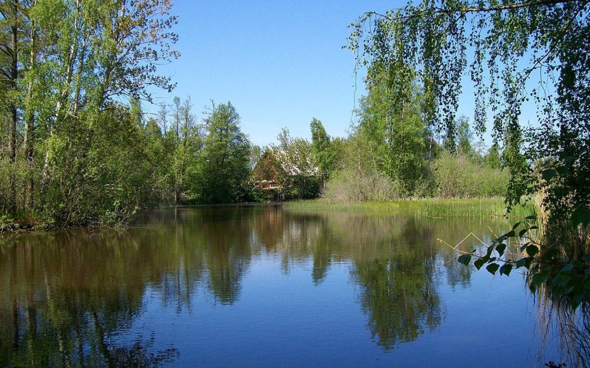 Photo of Others in Rosenfors