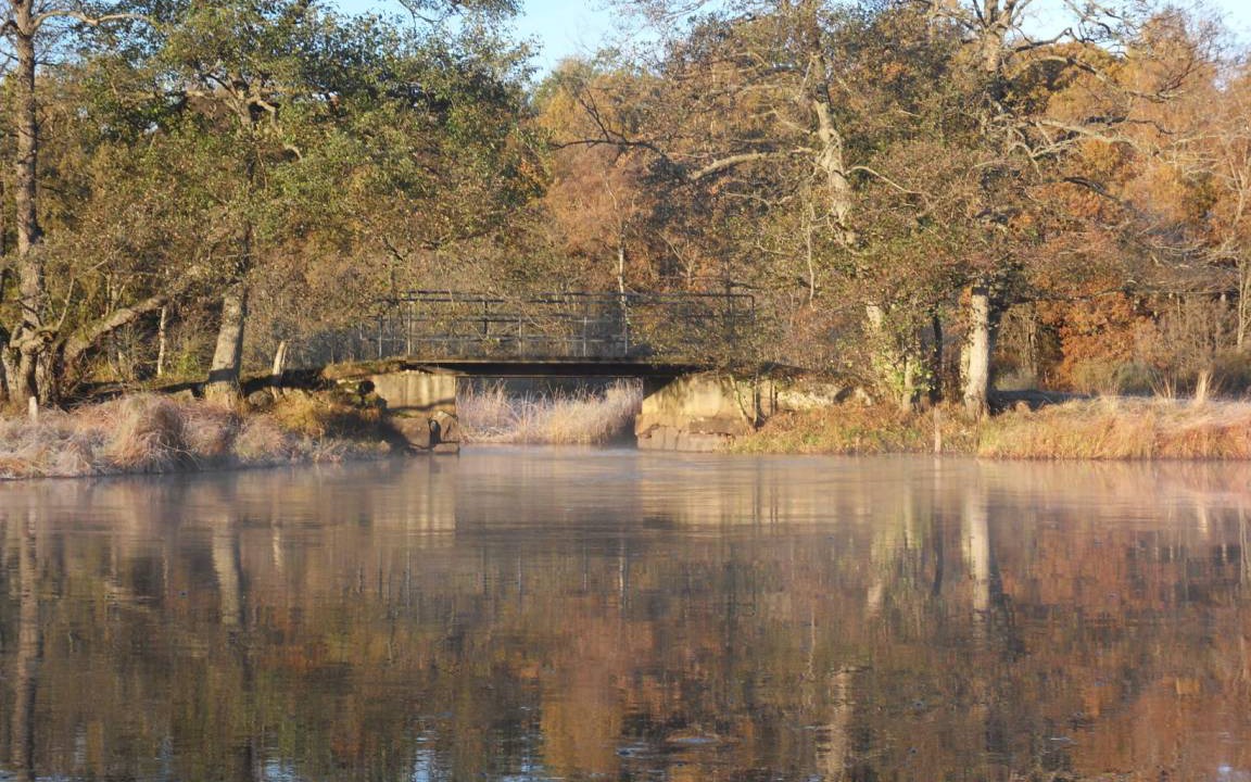 Photo of Others in Osby