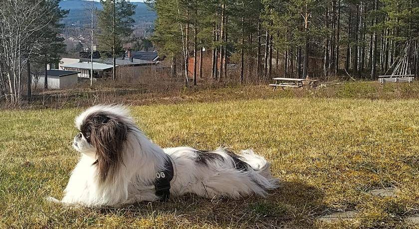 Photo of Outdoor in Orsa