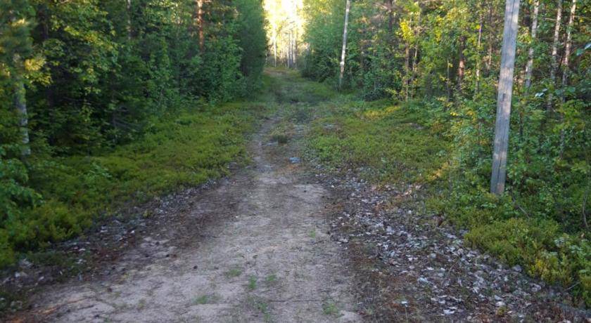 Photo of Others in Hedenaset