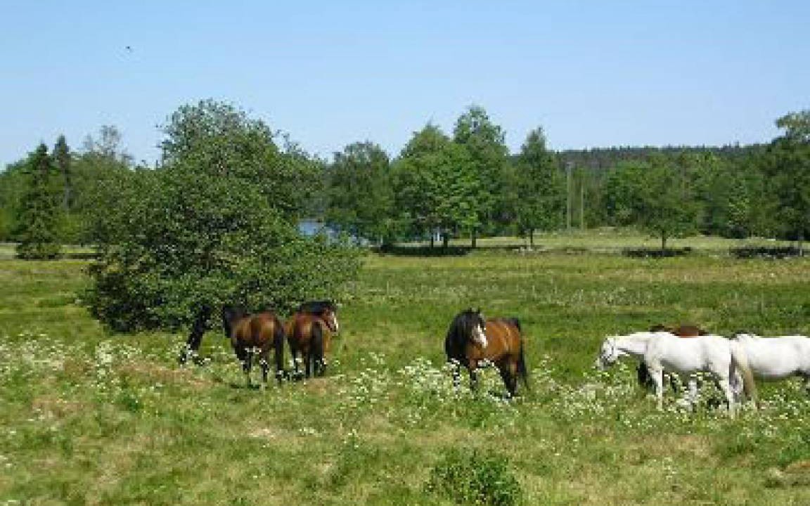 Photo of Others in Ulricehamn