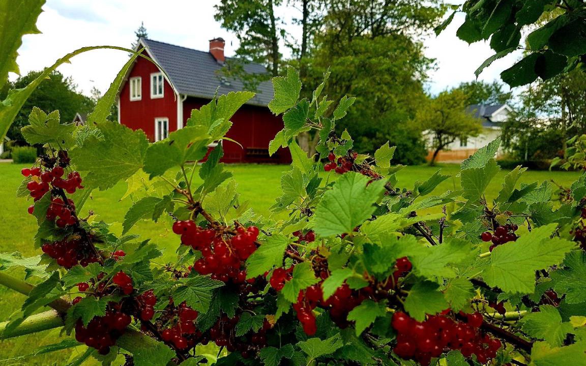 Photo of Others in Klavrestrom