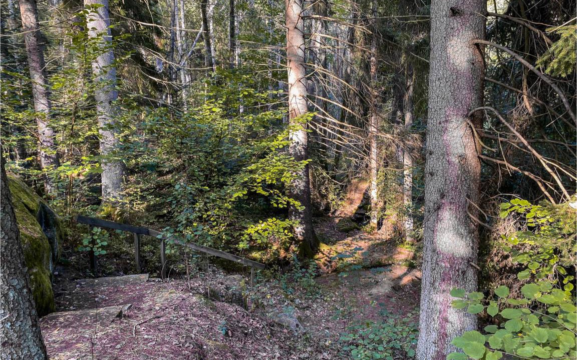Photo of Others in Nybro