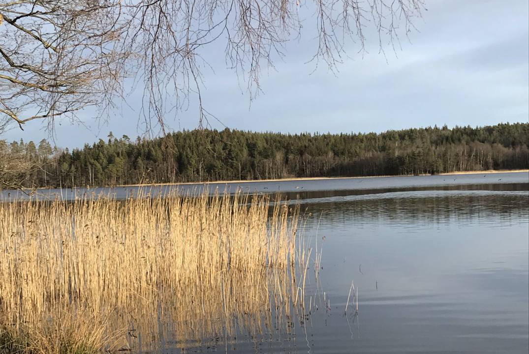 Photo of Others in Ljungskile