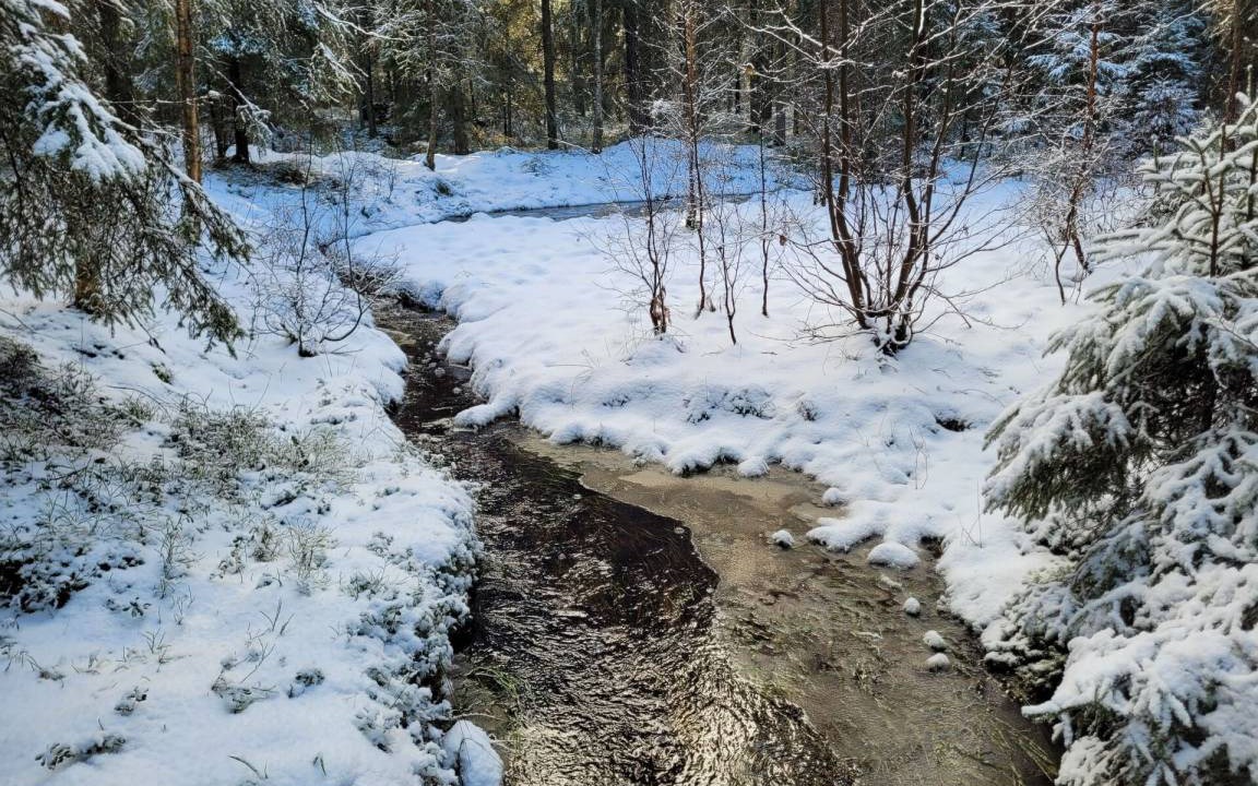 Photo of Others in Mullsjo