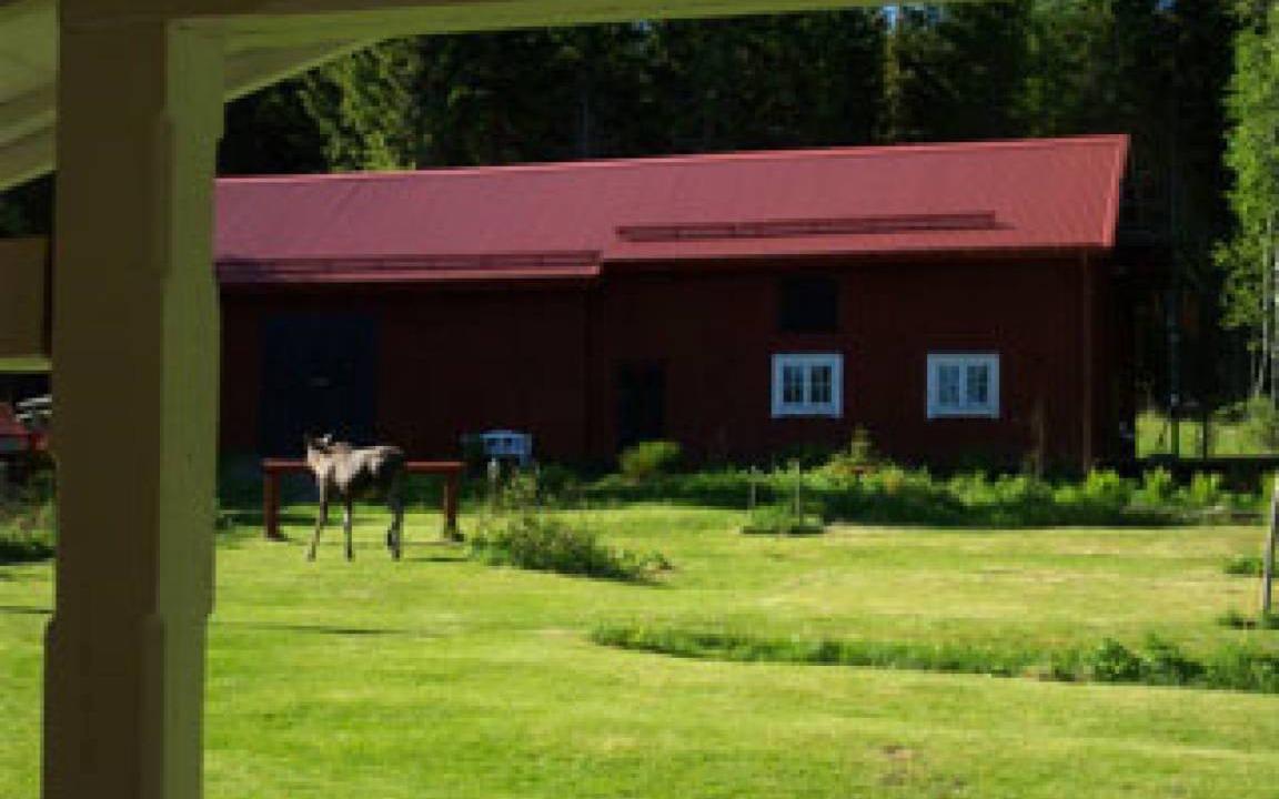 Photo of Buildings in Hagfors
