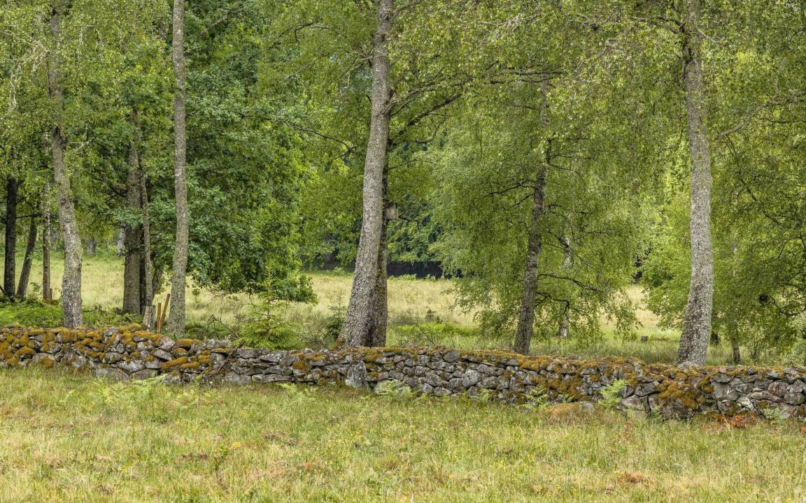 Photo of Others in Kyrkhult