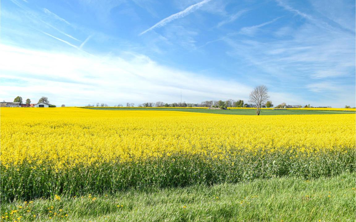 Photo of Others in Skillinge