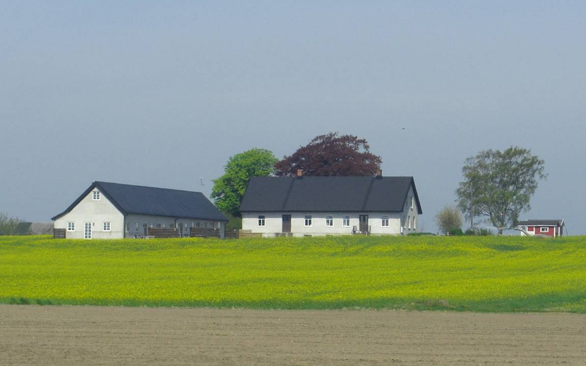 Photo of Buildings in Malarhusens