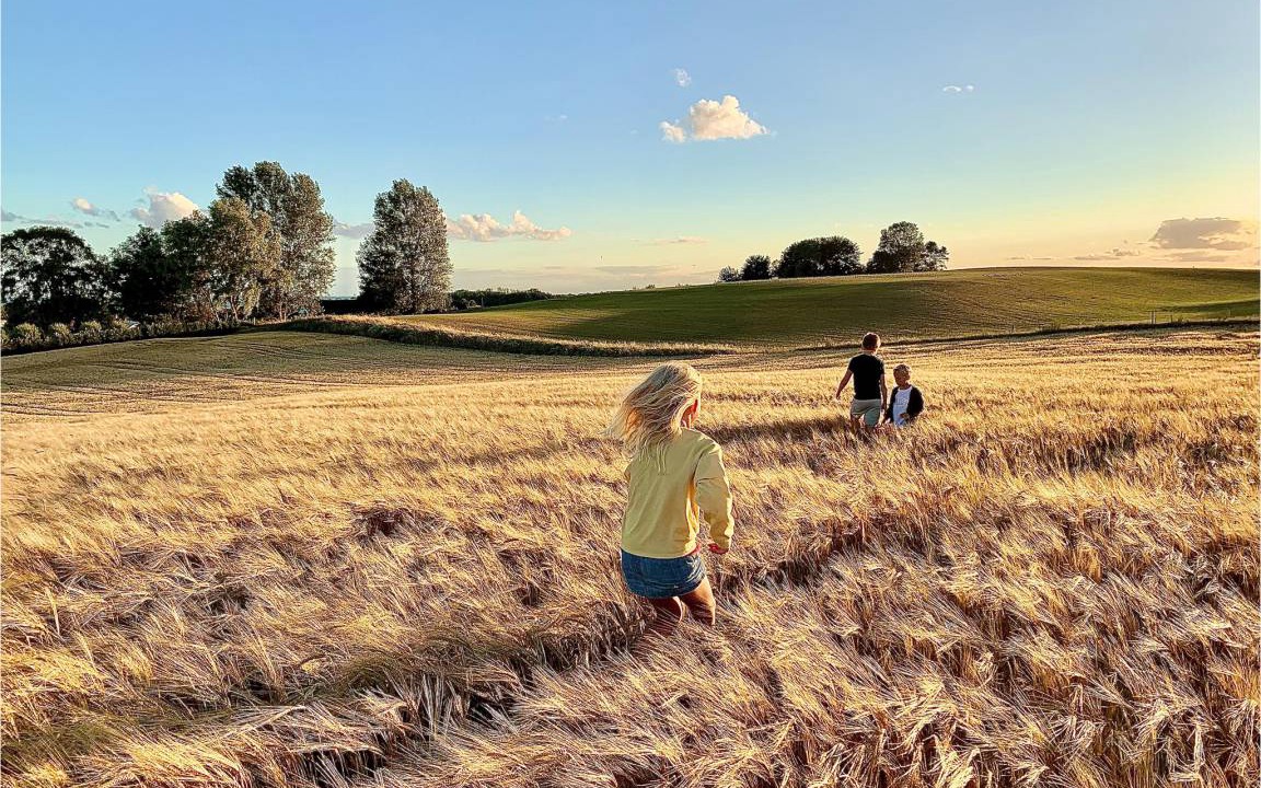 Photo of Others in Kopingebro