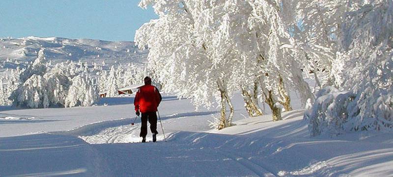 Photo of Others in Stoten