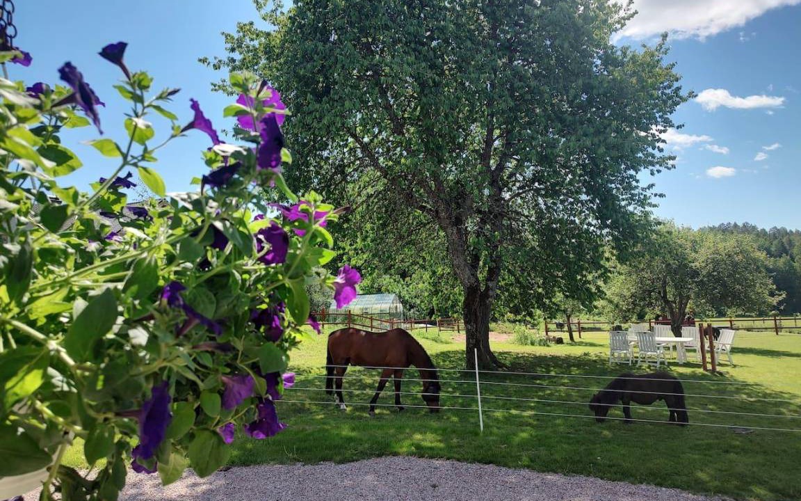 Photo of Others in Horndal