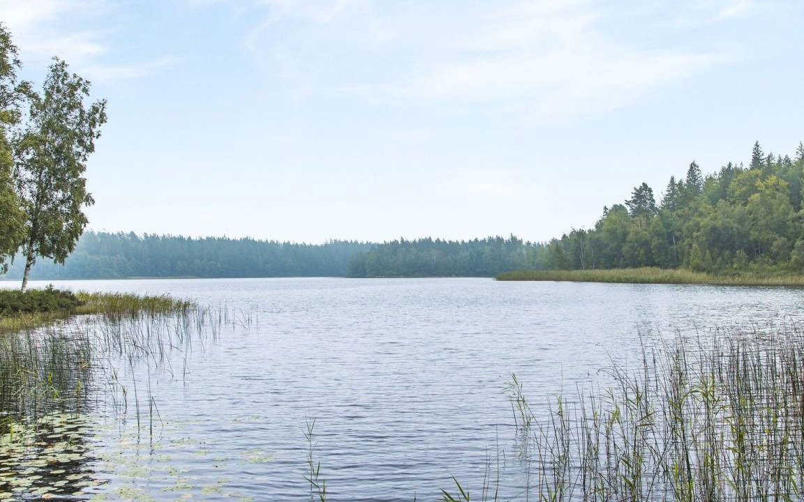 Photo of Others in Eringsboda