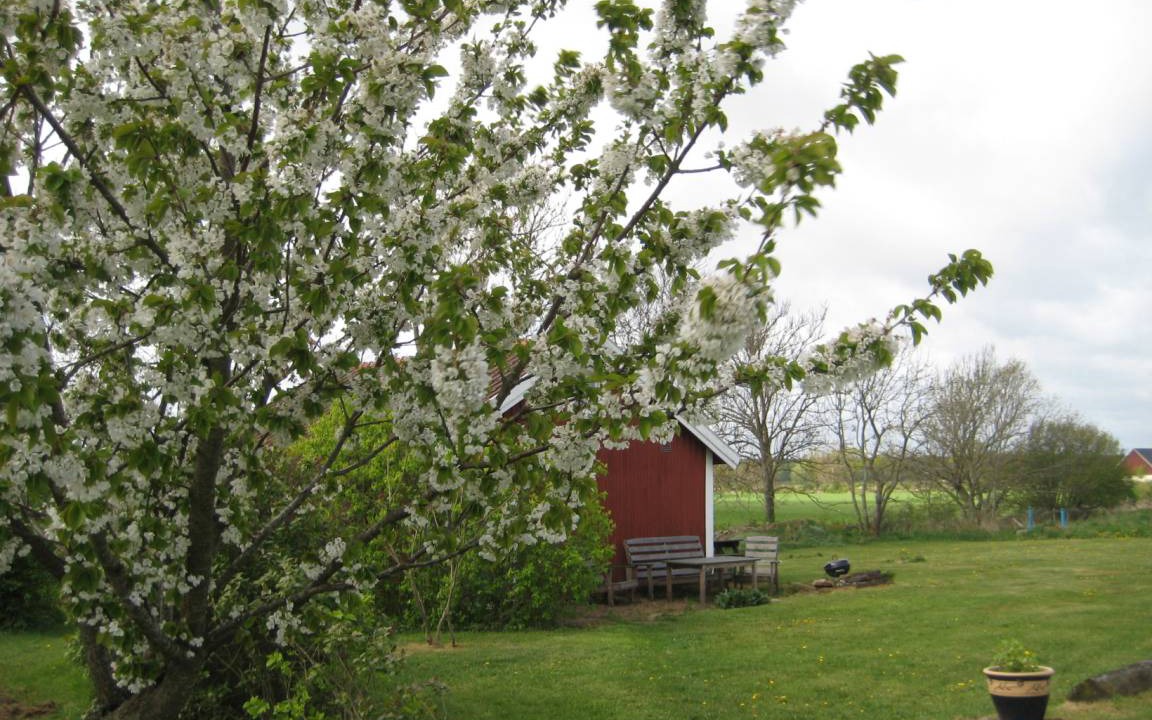 Photo of Others in Storlinge