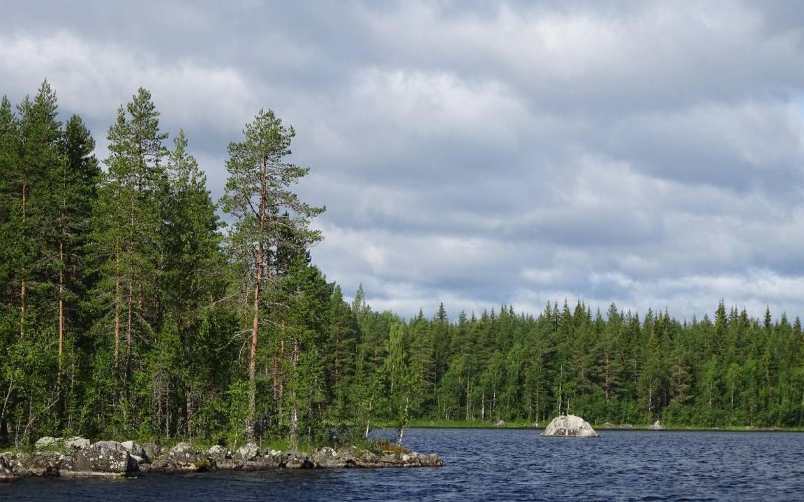 Photo of Others in Solleftea Municipality
