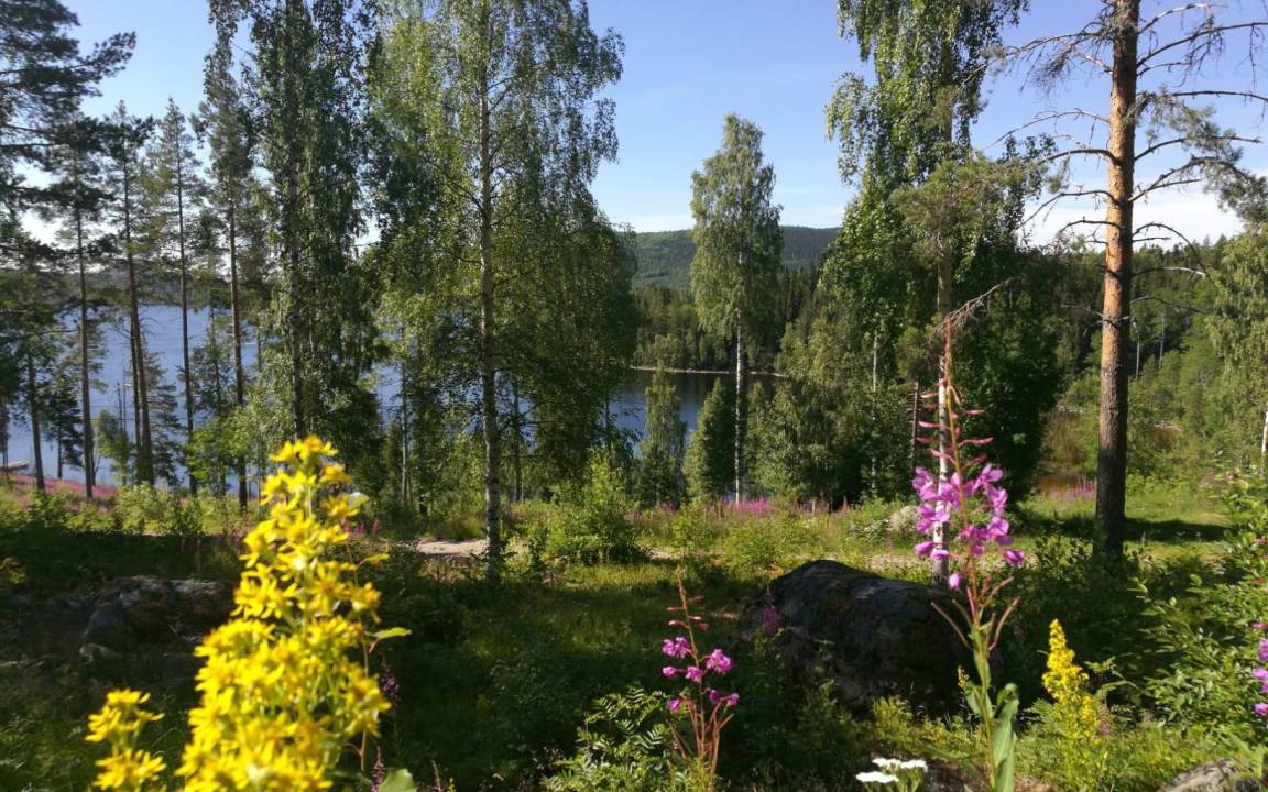 Photo of Others in Trehorningsjo
