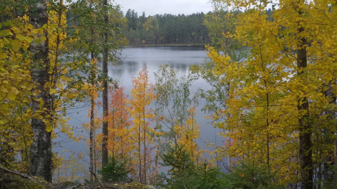 Photo of Others in Nordmark