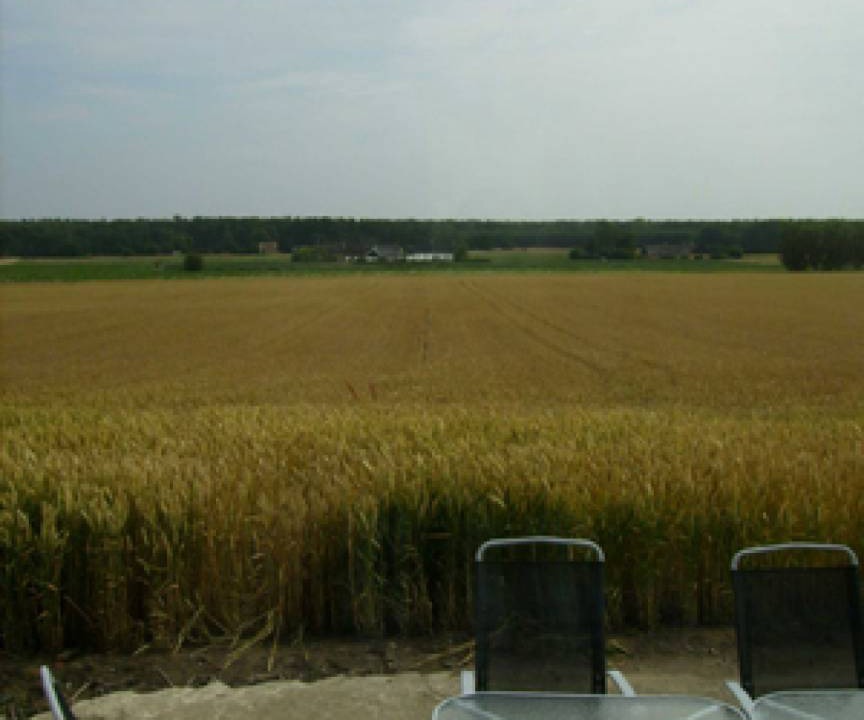 Photo of Others in Malarhusens