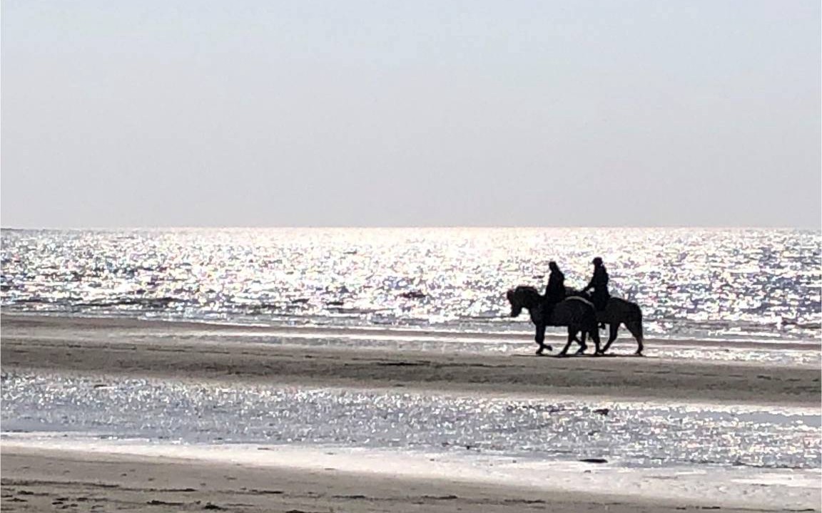 Photo of Others in Falkenberg