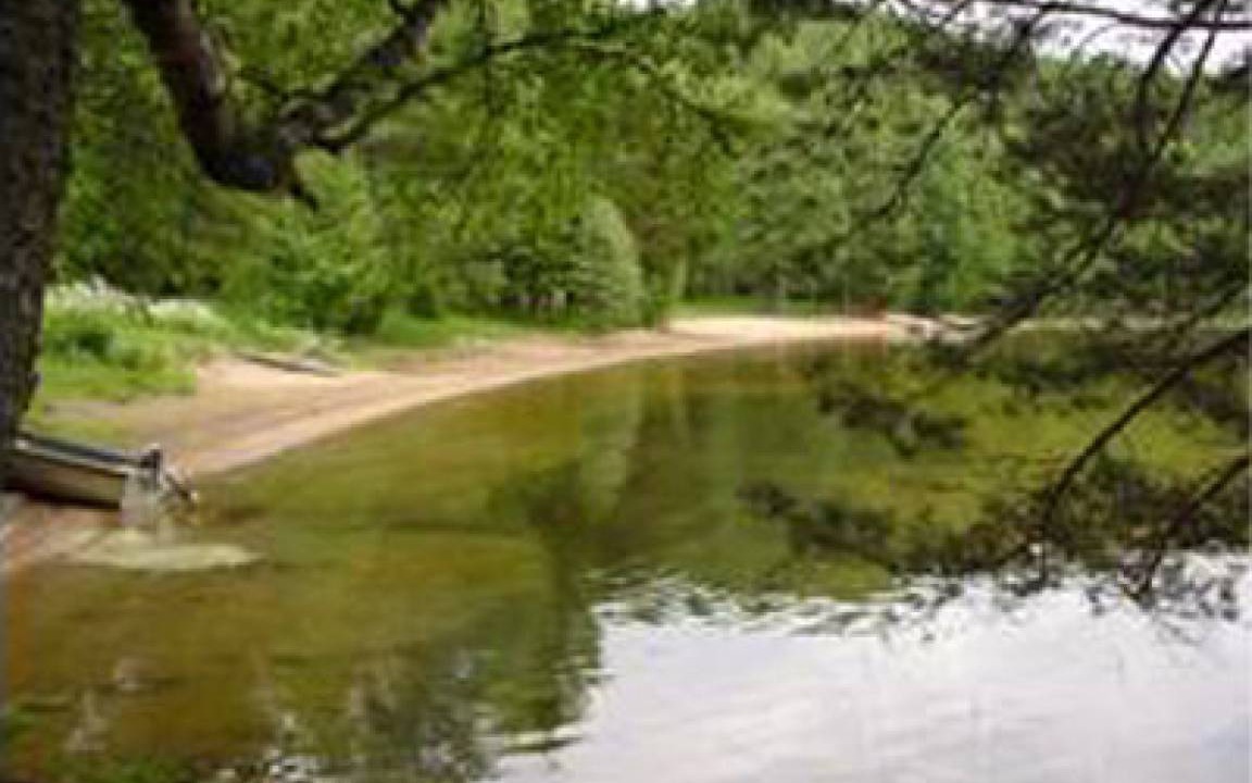Photo of Others in Varmland County