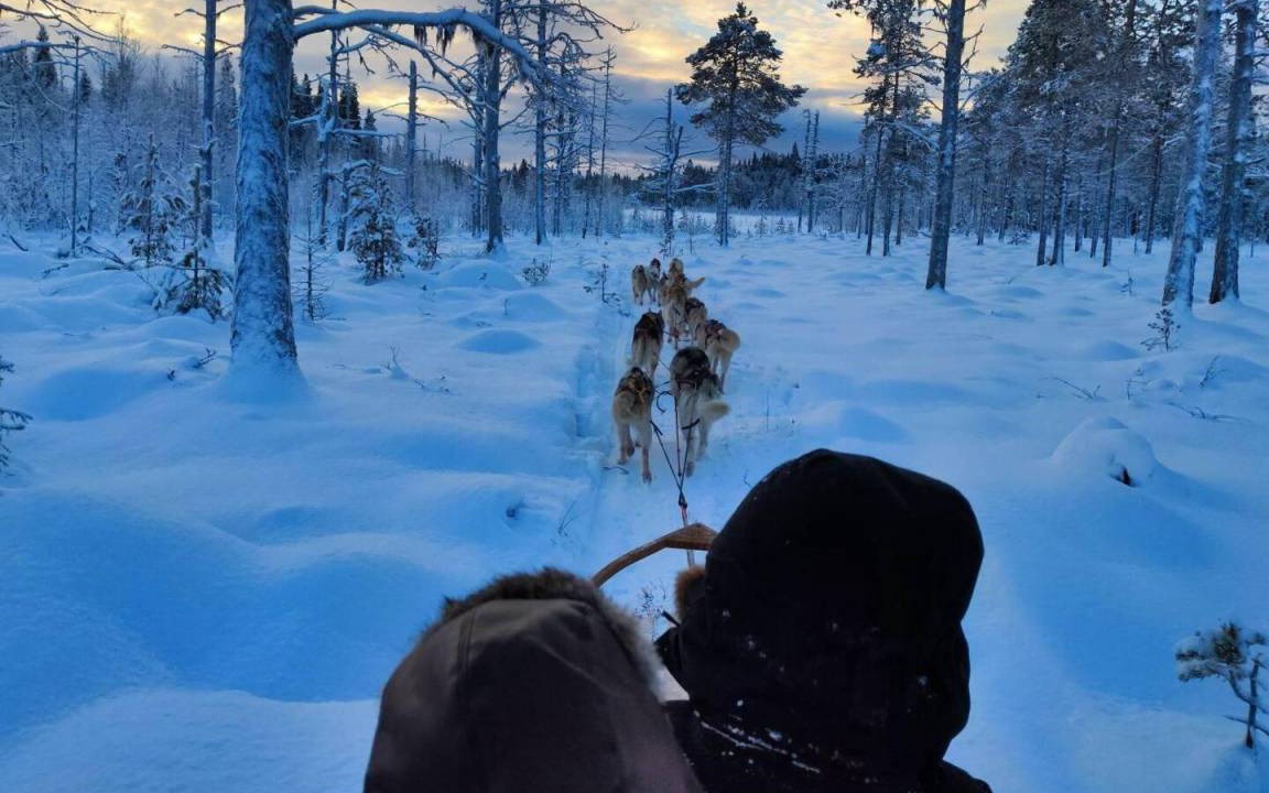 Photo of Human In Picture in Ramsele