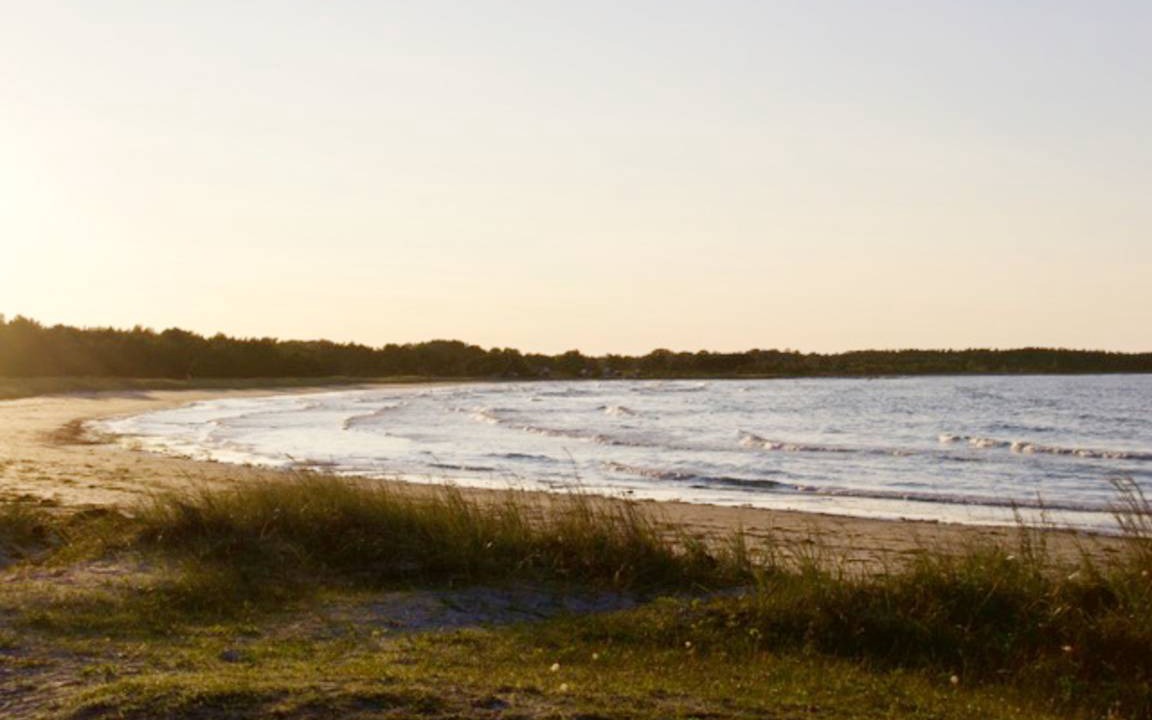 Photo of Others in Larbro