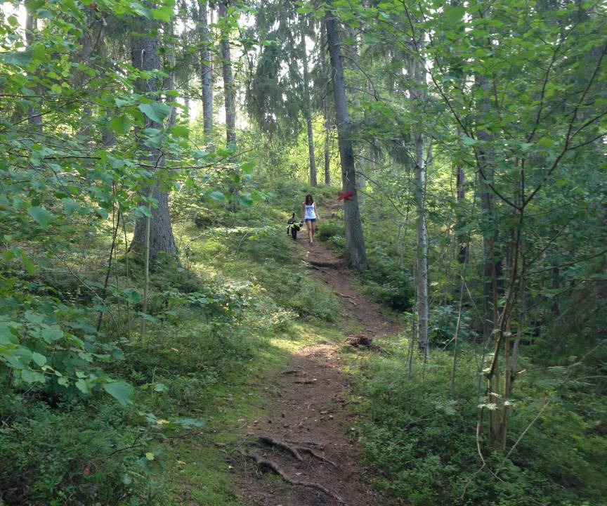 Photo of Others in Sodersvik