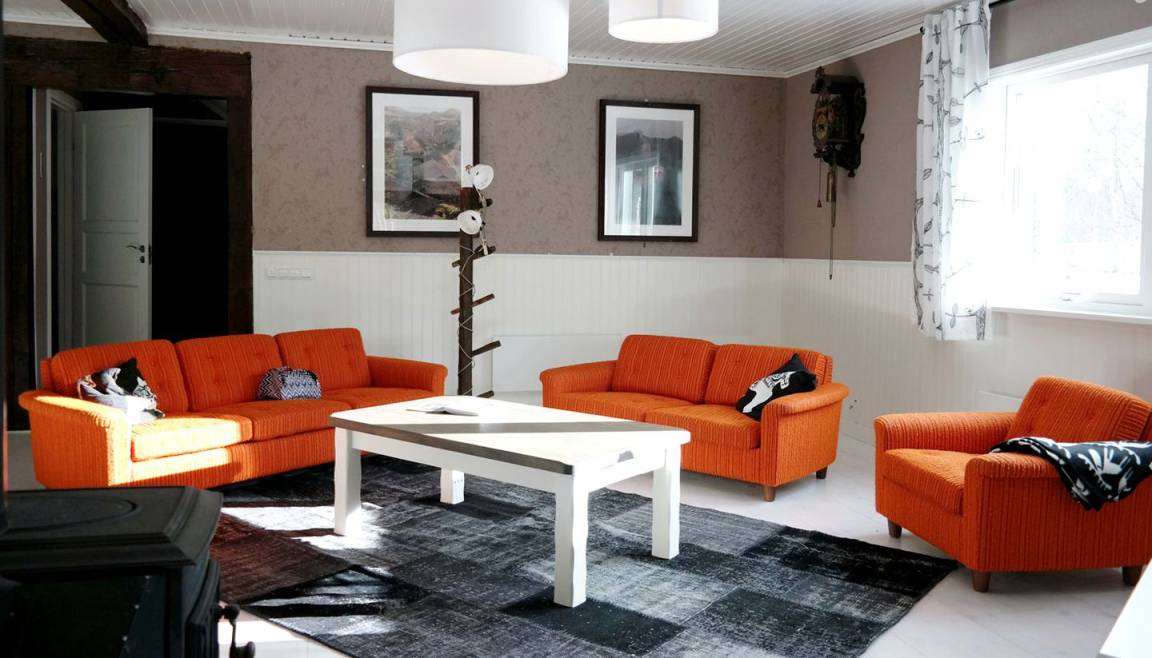 Photo of Livingroom in Furudal