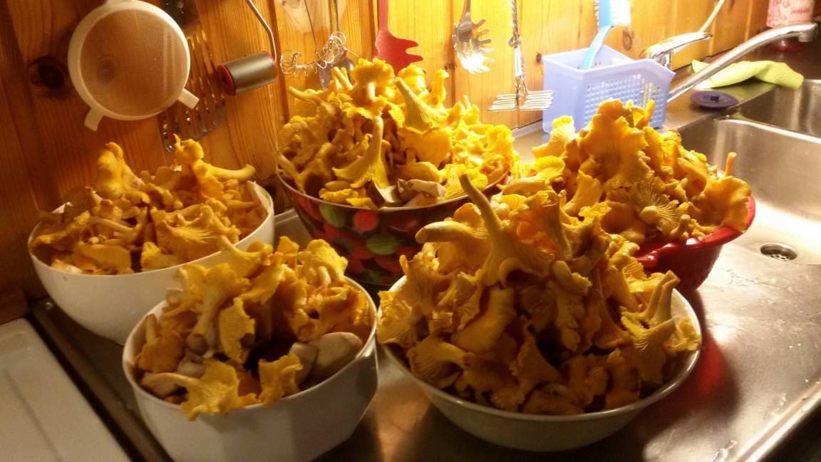 Photo of Kitchen in Nordmark