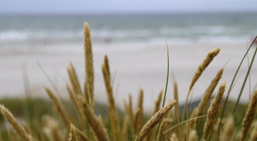 Photo of Others in Skanor-Falsterbo
