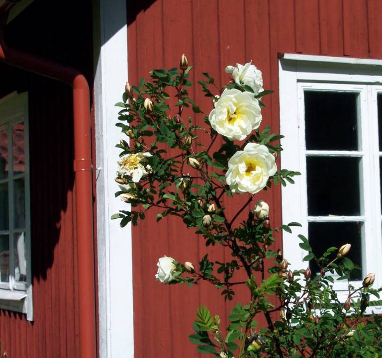 Photo of Others in Hagfors