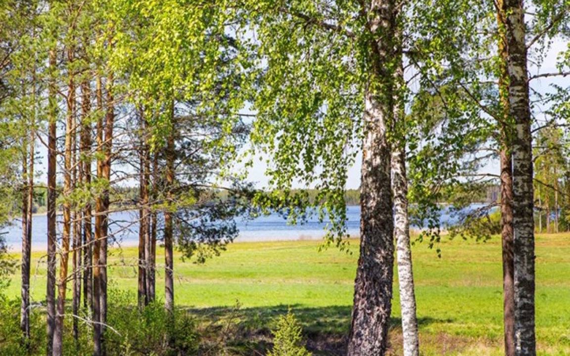 Photo of Others in Kristinehamn