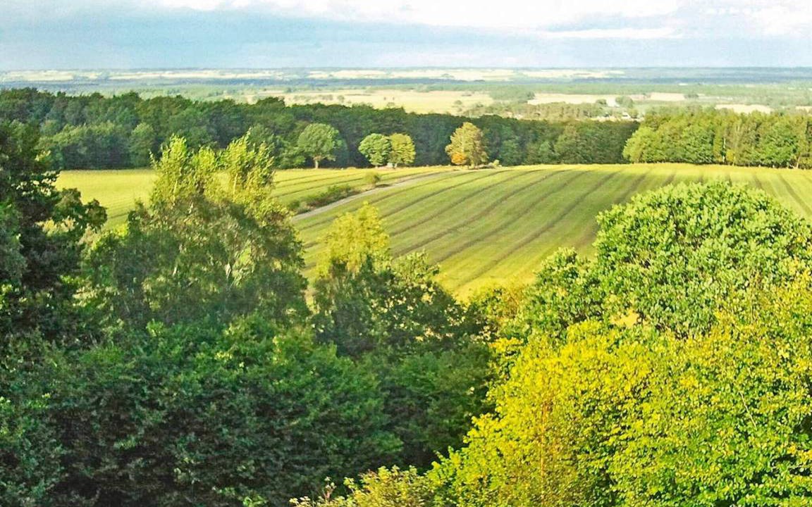 Photo of Others in Lund Municipality