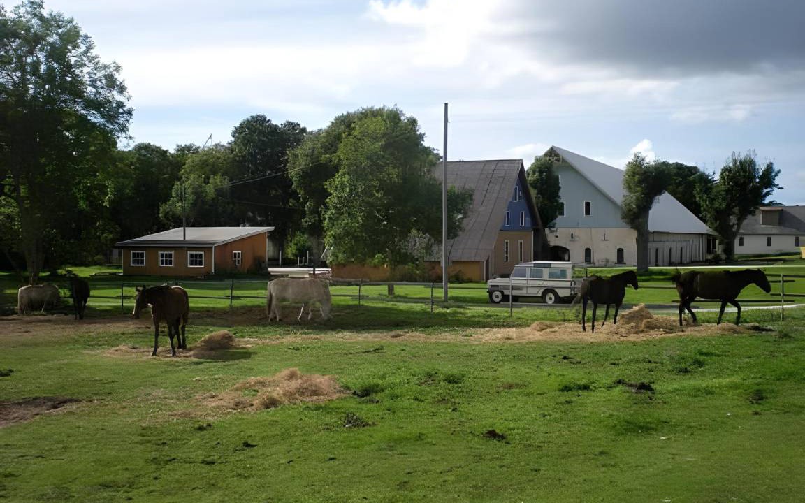 Photo of Others in Irevik