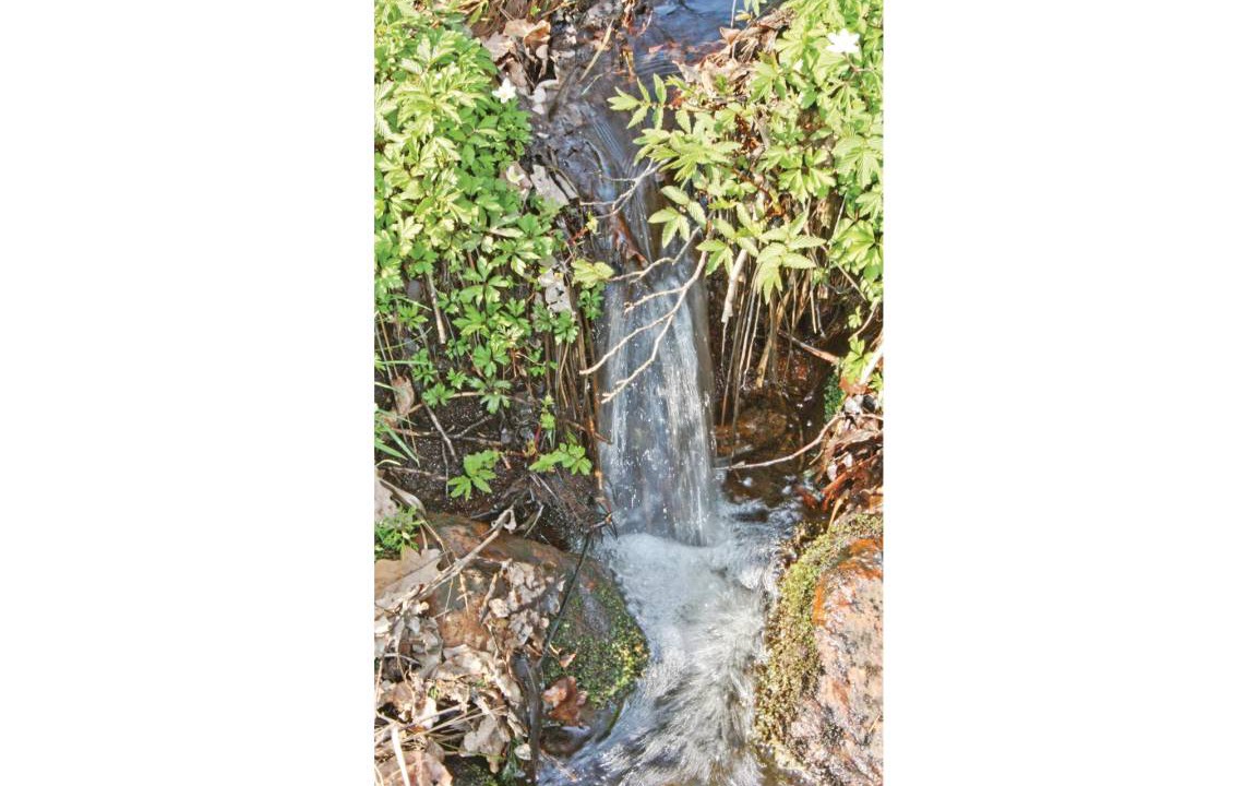 Photo of Others in Orkelljunga Municipality