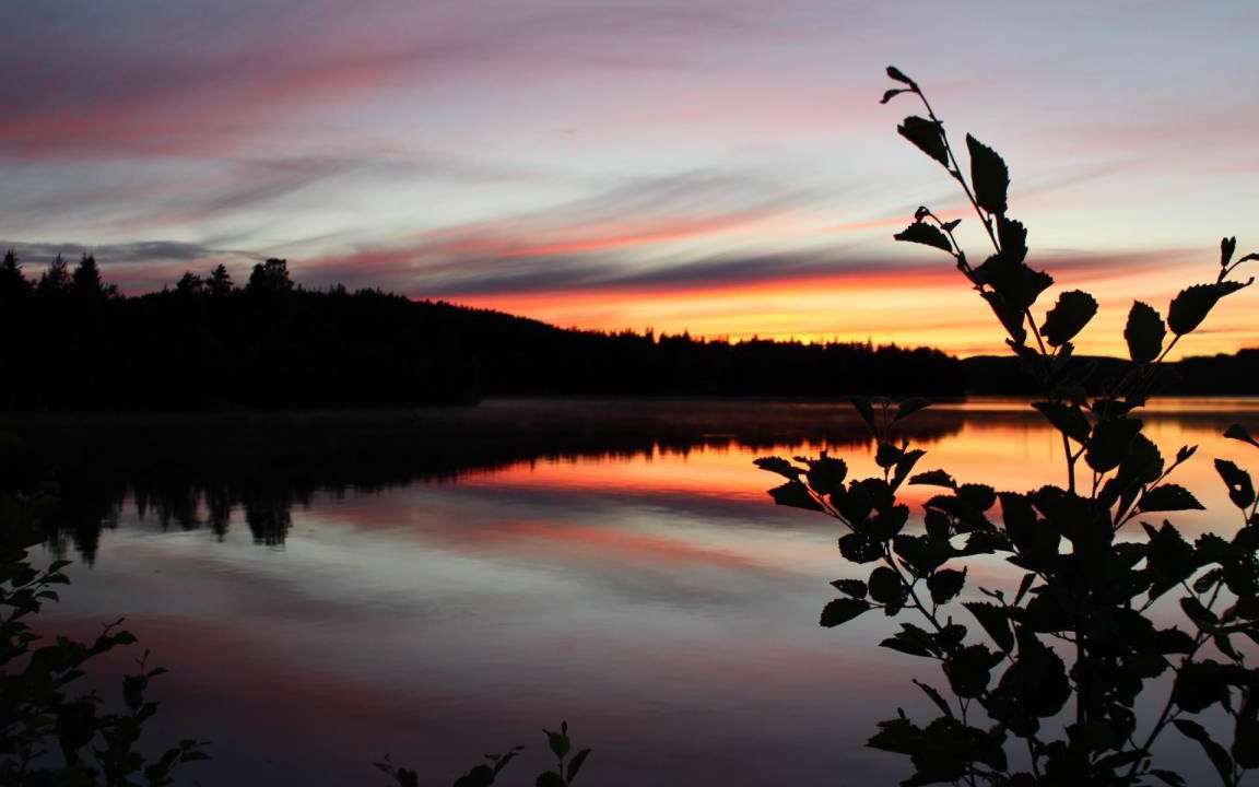 Photo of Others in Svardsjo