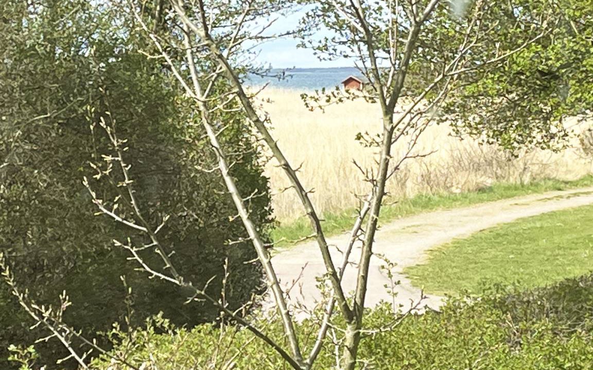 Photo of Others in Farjestaden