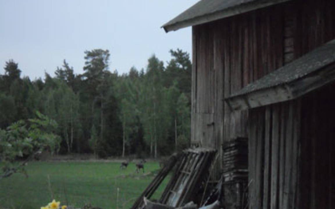 Photo of Others in Kristinehamn