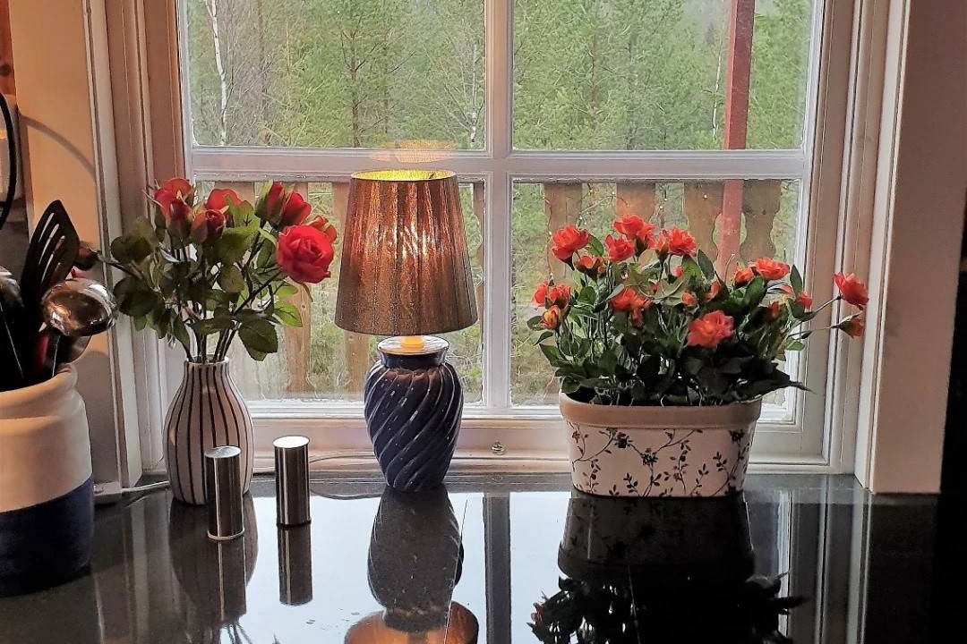 Photo of Kitchen in Backefors