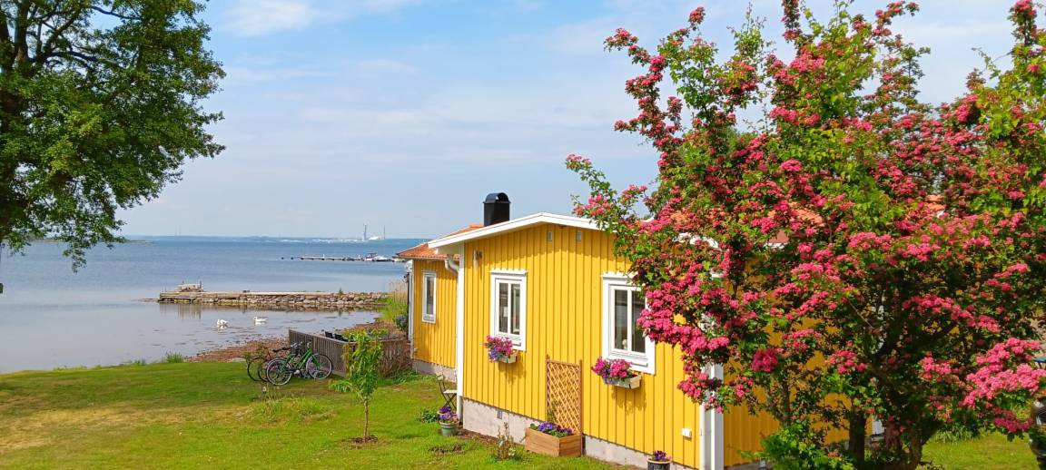 Photo of Others in Bredavik