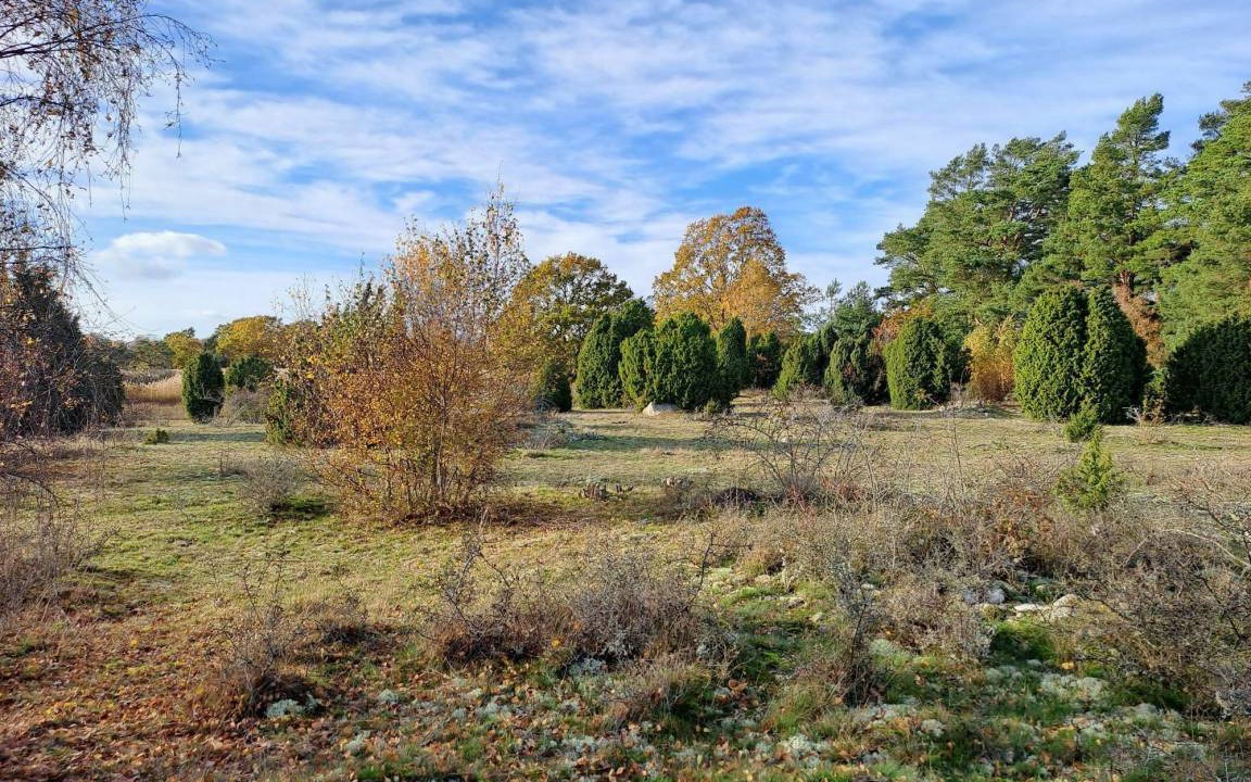 Photo of Others in Germundslycke