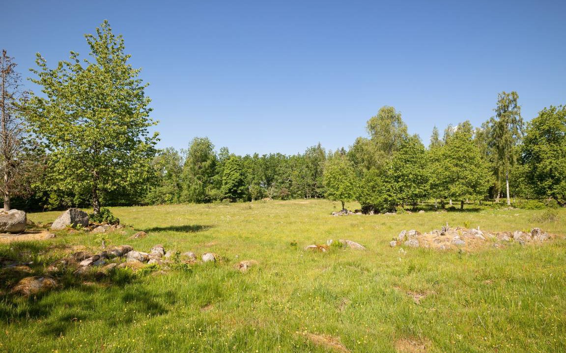 Photo of Others in Vimmerby Municipality