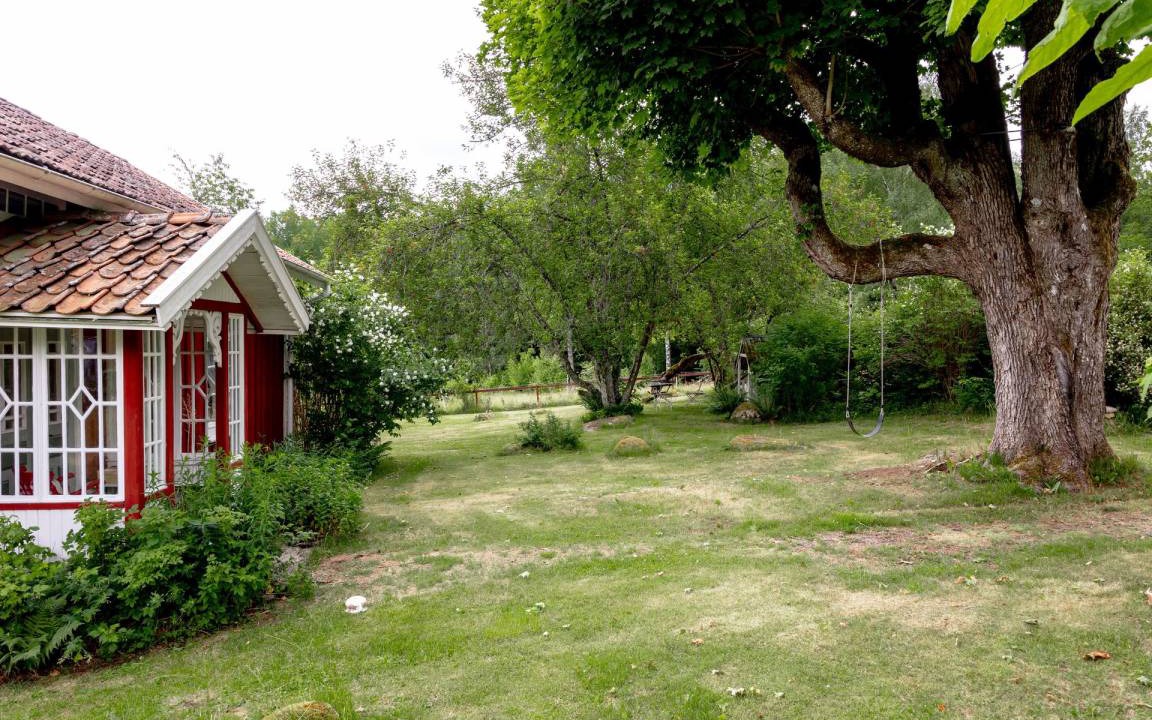 Photo of Others in Bor